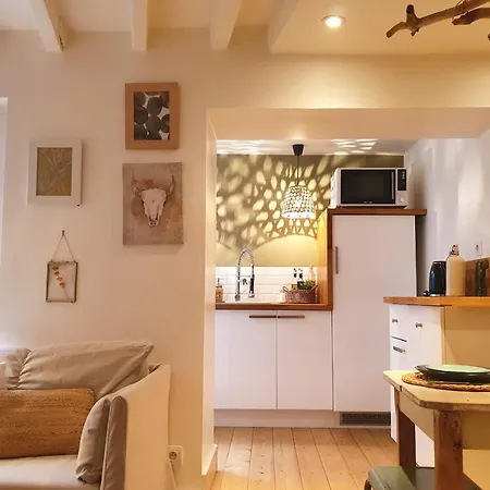 Maison Cocooning Calme & Confort 40m2 2pers Tatil Evi Rouen